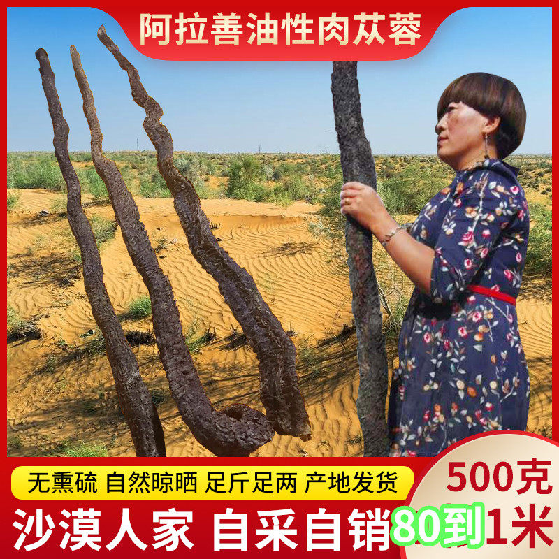 阿拉善油性肉苁蓉80至1米长大货整根男性滋补泡酒药材代切片正品