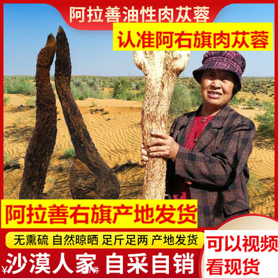 阿拉善男性滋补锁阳正品肉苁蓉
