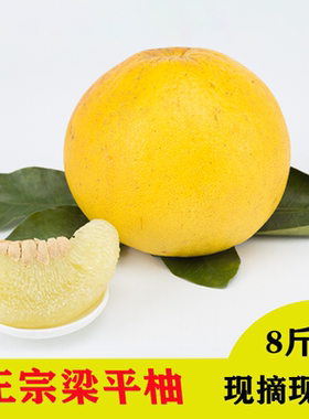 重庆特产梁平柚梁山当季新鲜水果正宗龙滩现摘现发包邮10斤装整箱