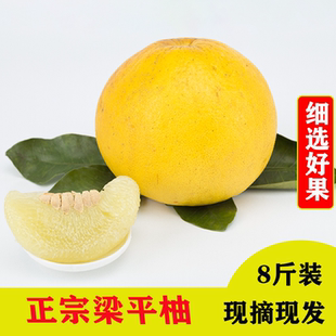 重庆特产梁平柚梁山当季新鲜水果正宗龙滩现摘现发包邮10斤装整箱