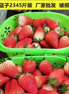 草莓篮塑料篮子手提篮2斤3斤4斤5斤水果篮鸡蛋篮一次性樱桃篮框子