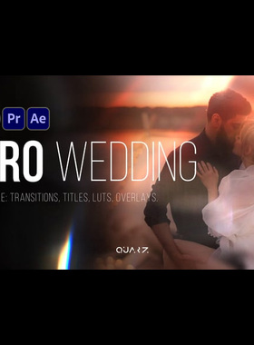 AE/PR/达芬奇模板-浪漫婚礼视频LUTs光斑叠加素材转场标题