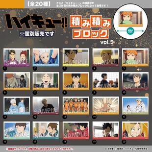 现货 PROOF 排球少年 场面写截图 方形亚克力块 摆件 vol5 周边