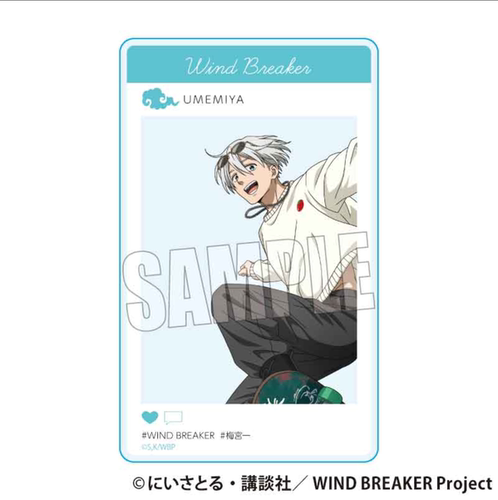 BH 防风铃 WIND BREAKER 滑板ver SNS风亚克力卡 周边