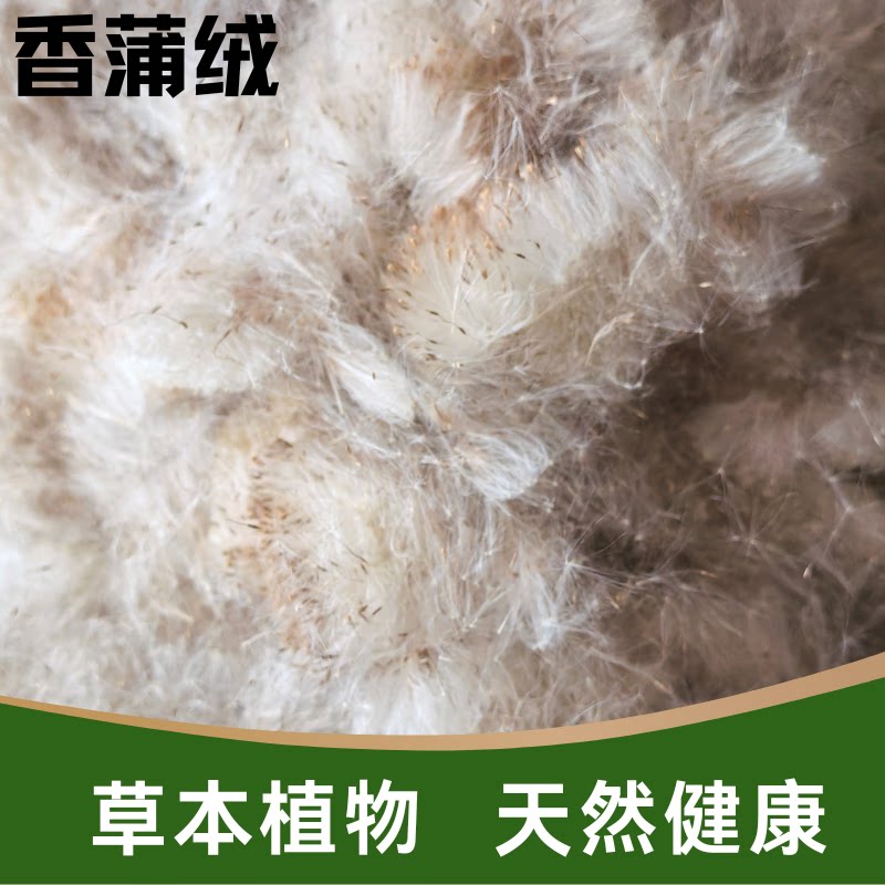 天然蒲绒枕头蒲絮水蜡烛蒲草香蒲枕填充料香蒲绒单人枕芯填充物