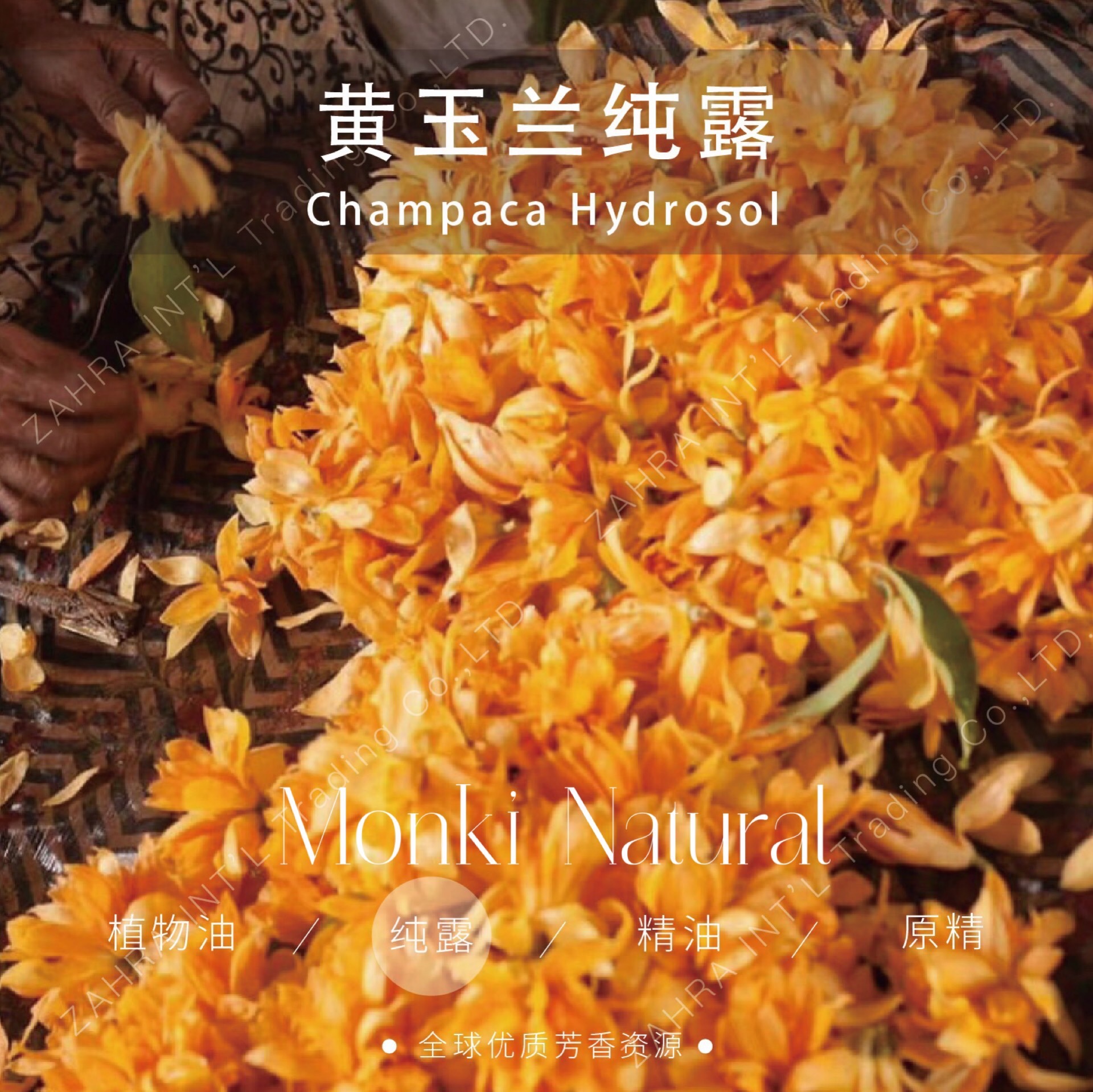 印度黄玉兰纯露补水提亮