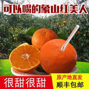 正宗象山红美人柑橘爱媛28号果冻橙新鲜现摘桔子礼盒顺丰官方授权