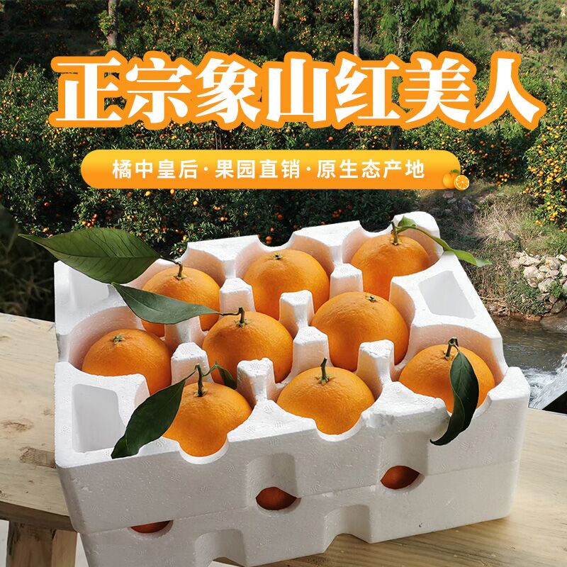 象山红美人爱媛28号果冻橙橘子