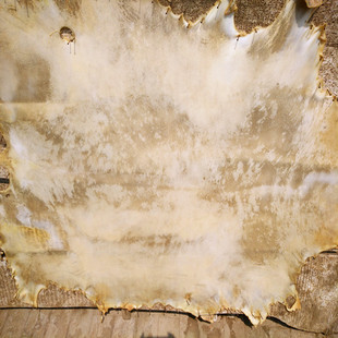 军鼓/架子鼓鼓皮/爵士鼓鼓皮/鼓皮/白色鼓皮/小军鼓皮/打击面鼓皮