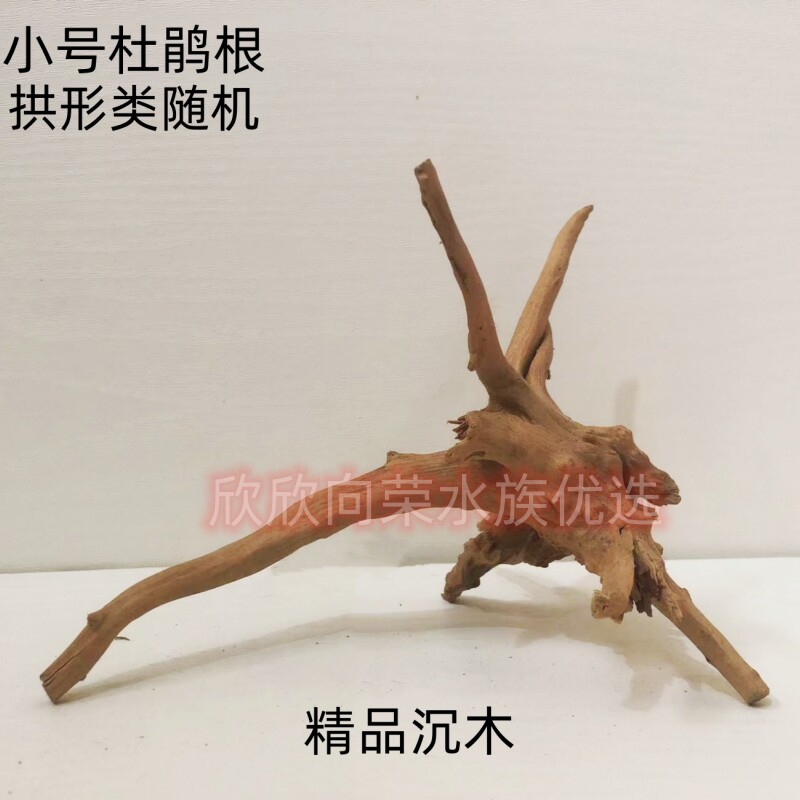 杜鹃枝莫斯树森林造景沉木水草缸
