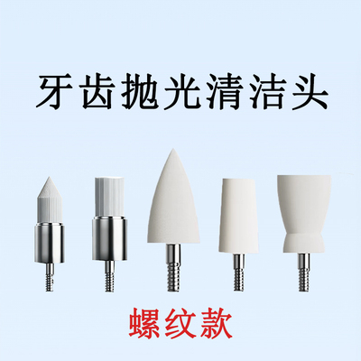 适用于beemag牙齿抛光器专用磨头 抛光磨头 美白抛光打磨头 通用