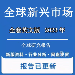 2022-2024年全球新兴市场规模趋势全球新兴市场投资规模市场分析