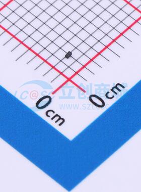 TVS/ESD管 TPD1E0B04DPLR X2-SON-2(0.3x0.6) 3.6V 1.7A@8/20?A T