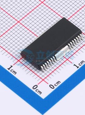 音频功率放大器 CS3820EO HSOP-28 原装正品 电子元器件配单