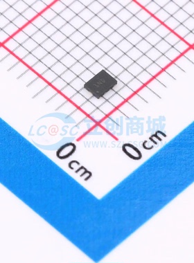 原装 仪表放大器 INA350CDSIRUGR X2QFN-10(1.5x2) 全新