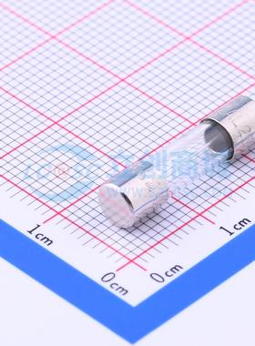 一次性保险丝 0217010.HXP D5.2xL20mm 原装正品 电子元器件配单