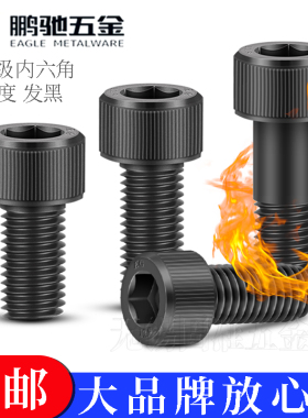 鹏驰GB70.1全牙12.9级圆柱头内六角螺丝杯头内六方螺钉MM3M6M8M16