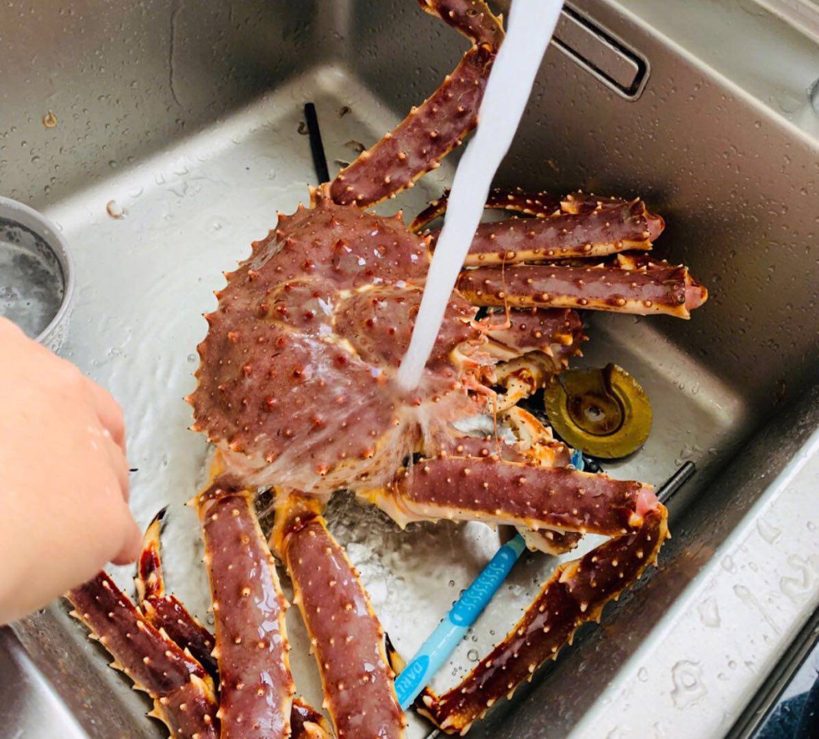 上海闪送帝王蟹阿拉斯加冰鲜超特大帝王蟹鲜活海鲜水产新鲜240/斤