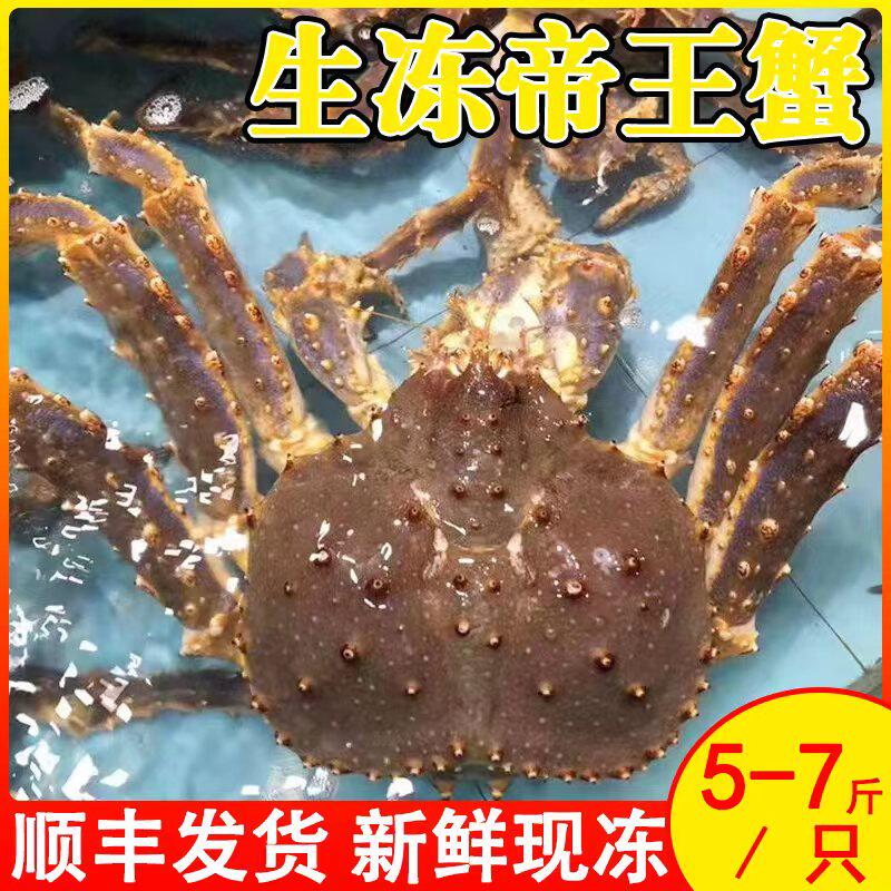 冻速冻俄罗斯帝王蟹新到船冻冰鲜冷冻海鲜水产四斤起