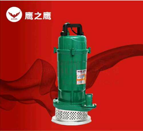 鹰之鹰清水泵潜水泵25管径单相铜线铝壳抽水机750W一个