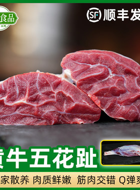 2.5斤国产五花趾金钱腱三花趾精修牛腱子芯老鼠腱黄牛肉生鲜清真