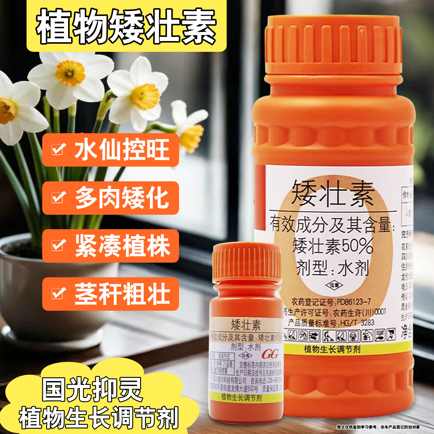 国光矮壮素水仙花卉专用壮矮素农药助壮素植物通用矮化控旺杀梢素