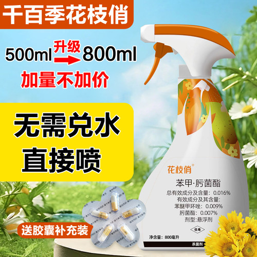 千百季花枝俏植物杀菌剂白粉黑斑