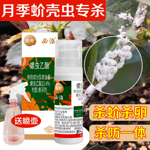 国光螺虫乙酯蚧壳虫专用药
