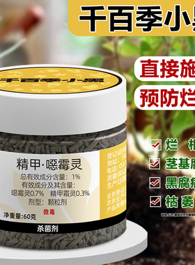 千百季小黑精甲霜恶霉灵根腐病专用药植物月季黑杆花卉土壤杀菌剂