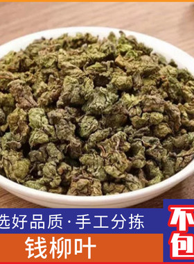 野生钱柳叶新鲜青钱柳叶 金钱柳神茶 青钱柳茶500g克干货