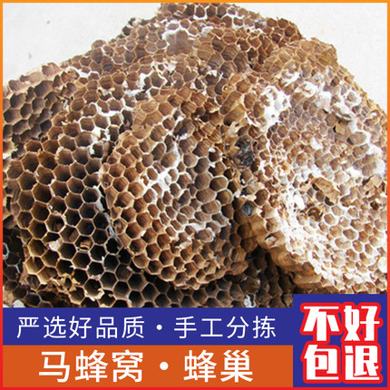 野生正品野蜂窝马蜂窝露蜂房黄蜂窝山蜂房老蜂巢500g