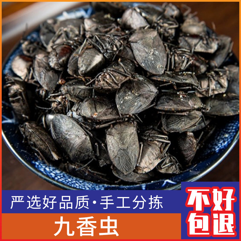 九香虫500克新货黑兜虫 屁巴虫 黑瓜蝽 屁板虫臭壳虫干包邮