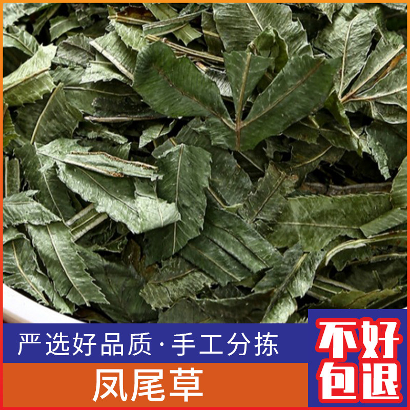 广西野生凤尾草500g克新货凤凰草 鸡爪草 鸡脚草切片包邮