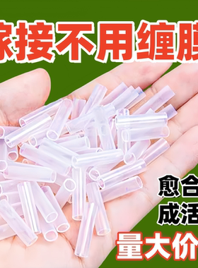 批发嫁接专用套管多植物种植果树花卉蔬菜藤园艺育苗对接连接软管