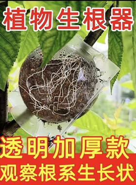 植物高压繁殖盒果树嫁接花卉生根移植繁育球花木生根器扦插园艺盒