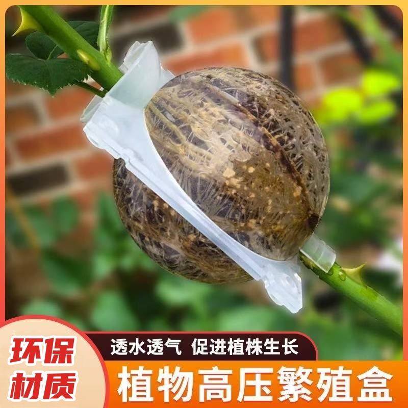 植物高压繁殖盒扦插嫁接新款生根球自动扣工具扦插嫁接生根育苗器,鲜花速递/花卉仿真/绿植园艺,其它园艺用品,淘宝优惠券,粉丝福利购,淘宝优惠卷