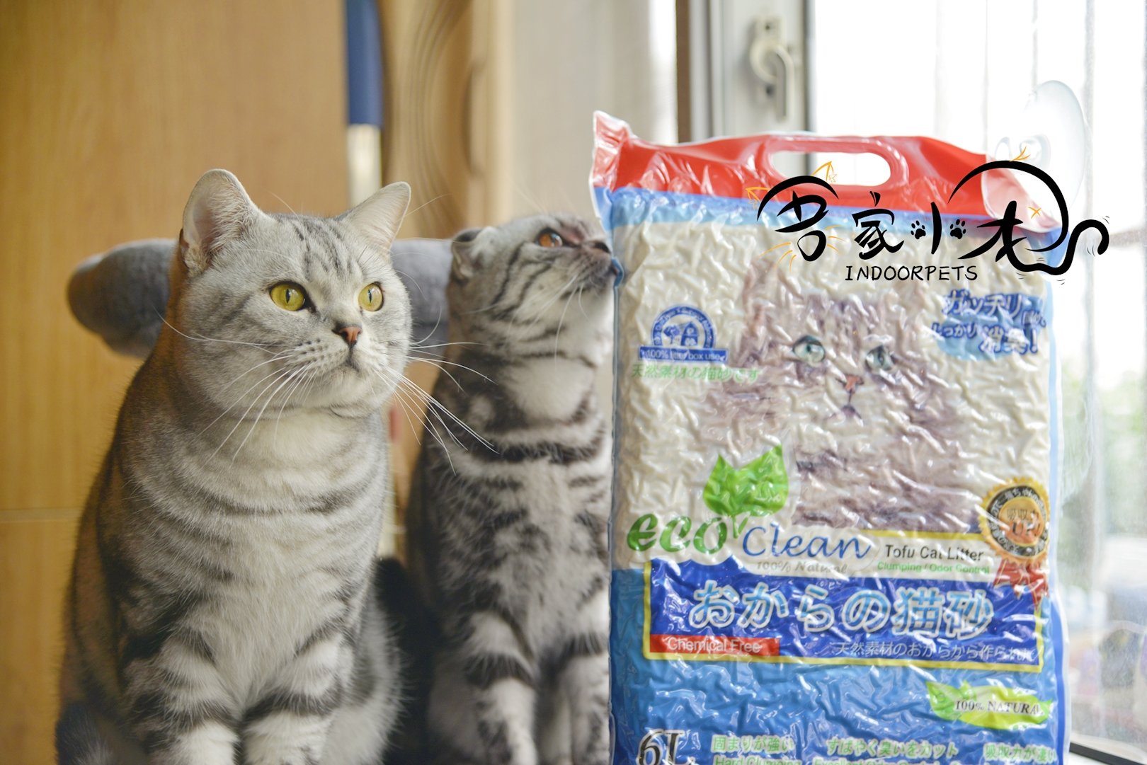 天净凝块结团除臭吸水豆腐猫砂