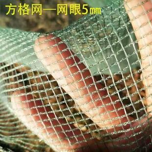 方格渔网网布水产鱼塘养殖网箱鱼网围网网片防逃网养殖网龙虾螃蟹