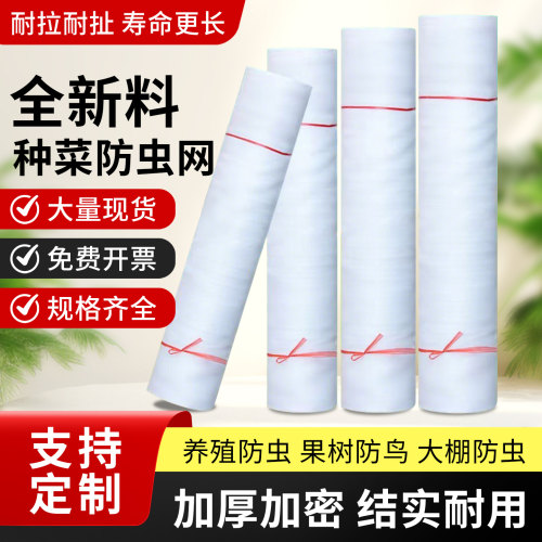 防虫网种菜专用大棚养殖