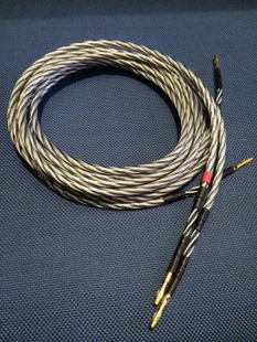 德国Einstein（爱因斯坦）The Thrill “激情”喇叭线