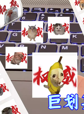 新款权威猫meme卷卷贴搞笑抽象猫咪网络热梗表情包手账diy贴画