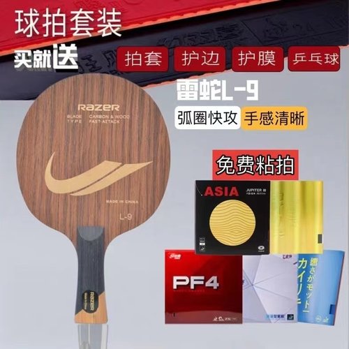 雷蛇乒乓球底板碳素初学训练专用