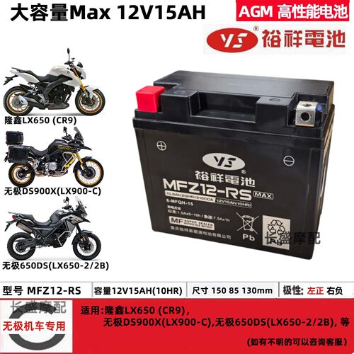 隆鑫LX650 CR9无极650DS DS900X 650R大容量摩托车电瓶电池