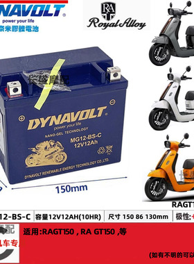 RA150GT龙嘉V咖V霸V途VMAX300ie维多利亚300 150 XDV250电瓶电池