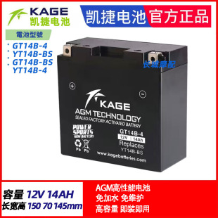 XVS1100 YT14B BS雅马哈FJR1300 XJR1300 MT01电瓶蓄电池 FZS1000