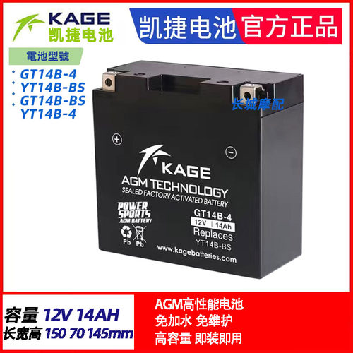 YT14B-BS雅马哈FJR1300 XJR1300 XVS1100 FZS1000 MT01电瓶蓄电池