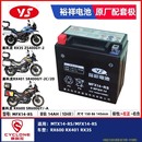 RX3S RX401 派方星舰6宗申摩托车电瓶蓄电池 RS赛科龙RX600 MTX14