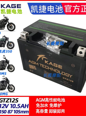 GTZ12S义骑v8弘飞虎350摩枭500MG MS RR庄威V400-3威霸电瓶蓄电池
