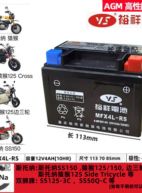 双狮牌SS125-3C斯托纳猿猴长颈鹿SS150边三轮125猴子Dax电瓶电池