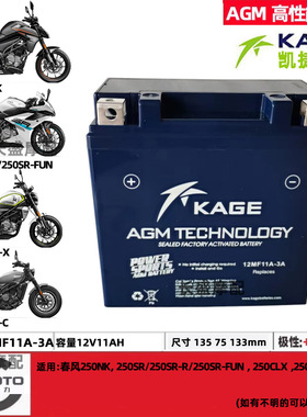 春风250NK 250SR/CLX CF250-A幽客UK400 UK200电瓶12V9AH电池